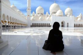 Abu Dhabi Full-Day City Tour with Local Guide from Dubai